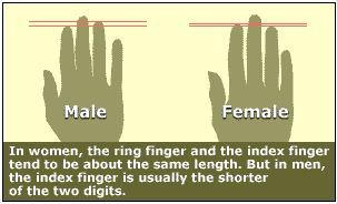 Finger-ratio